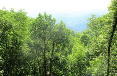 Alpine Log Cabin - Foto 52