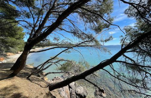 Appartement plage piscine et tennis inclus - Foto 1