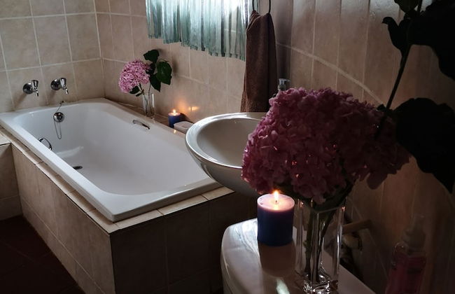 Dublin Guest Lodge - Foto 50