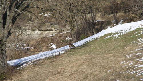 Agriturismo Coradosso "Il Fienile" - Foto 4