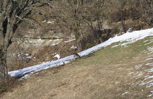 Agriturismo Coradosso "Il Fienile" - Foto 4