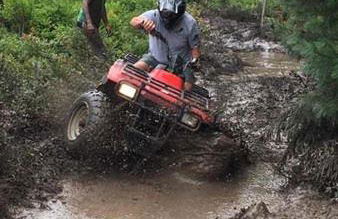 Charming Corner Newly Furnished Townhome - Foto 58