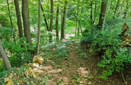 Pole Barn - Rustic 1BR Family Retreat with Open Views - Foto 57