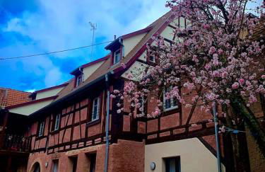 Gite Le Clocher à Beblenheim Parking privé - Foto 19