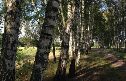 Apartament Kabaty - Foto 11