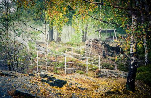 Urlaubsloft AUGUST'S Schatzkiste - Photo 58