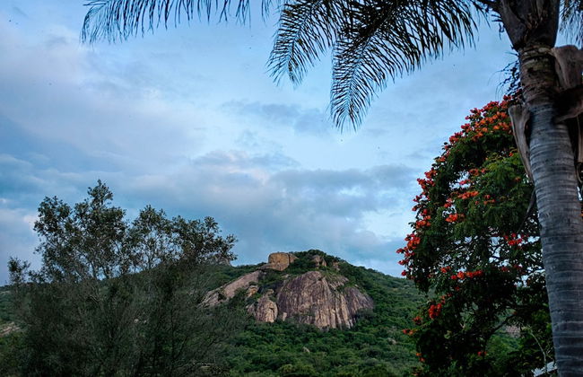 Near2Numbi - Foto 59