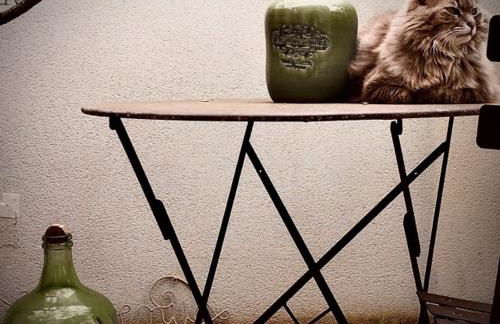 Belle villa récente de 120 m2 avec piscine - Photo 29