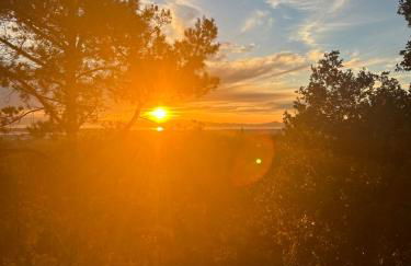 Private Oakland Hills Guest Apartment - Foto 36