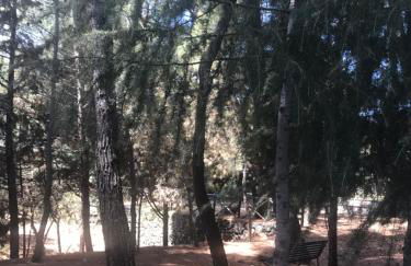 Casa Vacanze Etna - Foto 8