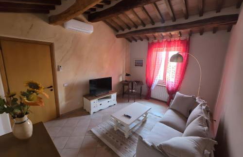 Gli Ulivi di Siena 2 - Foto 10