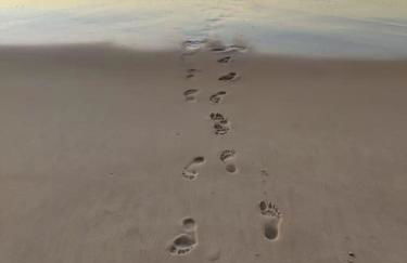 Villa Cocoon Contis océan à 900m - Foto 14