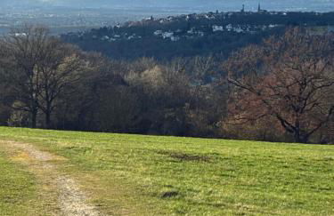 ChrisTho - Am Rheinsteig - Foto 29