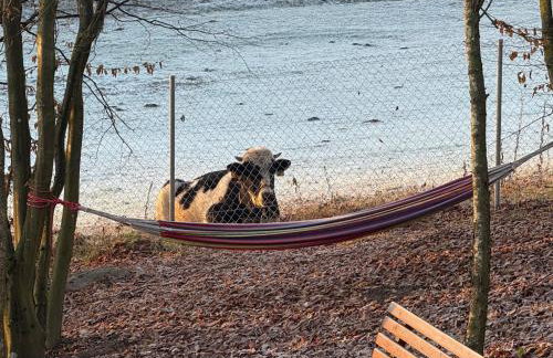 Błękit Jeziora - Foto 44