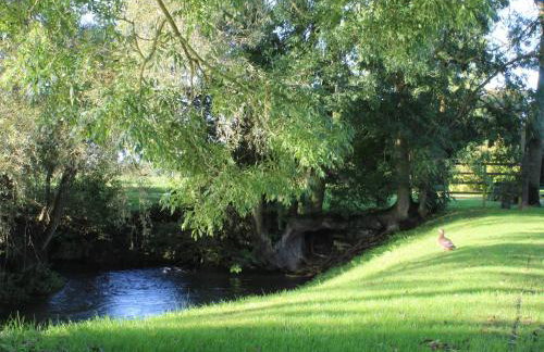 Swallow's Nest - Photo 33