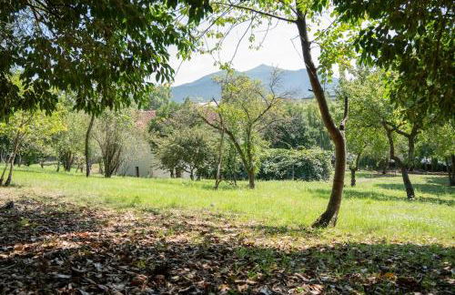 Caserío vasco de categoría - Foto 15