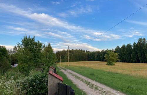 Nad Isągiem - Photo 37