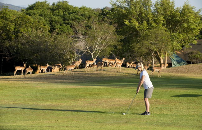 Kruger Park Lodge - Photo 27