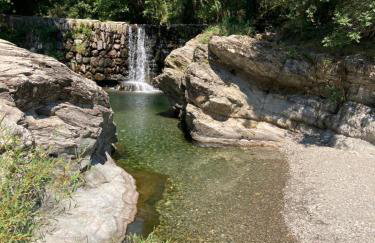 L'évidence - Foto 1