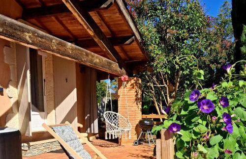 LOU PITCHOUN - Jacuzzi SPA Privé - Vignes - Proche ALBI et CORDES - Foto 9