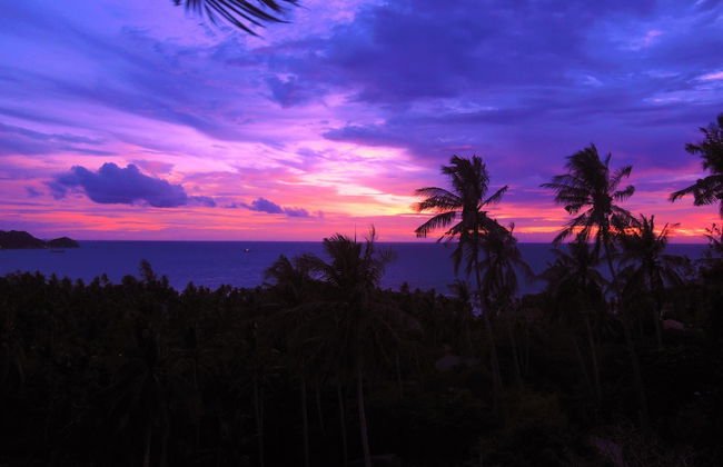 The Plantation Koh Tao - Foto 30