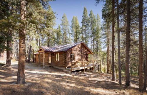 Lake Flora Cabin - Foto 19