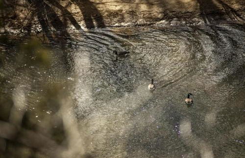 Charming Glamping Rental with Fireplace near Great Smoky Mountains National Park - Foto 38