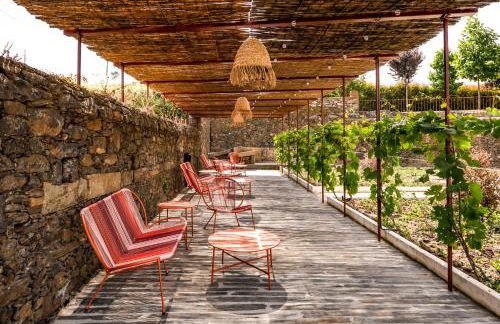 Casa da Lameira Douro Valley - Photo 52