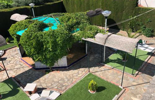 El rincón de Dory - Foto 15