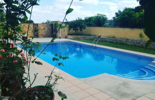 Dama Rural - Foto 14