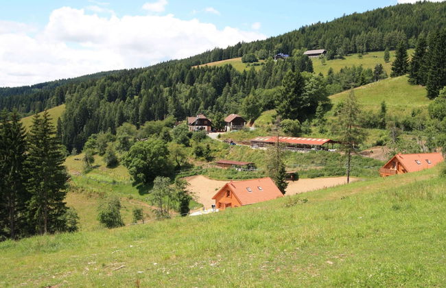 Chalet in Liebenfels Near ski Area - Foto 35