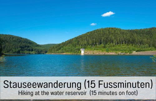 Hüttenchalet Waldschatz mit Sauna, Kamin und eingezäunt - Foto 47