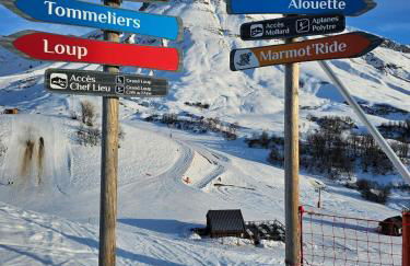 Hameau Des Aiguilles vue sur pistes - Photo 18