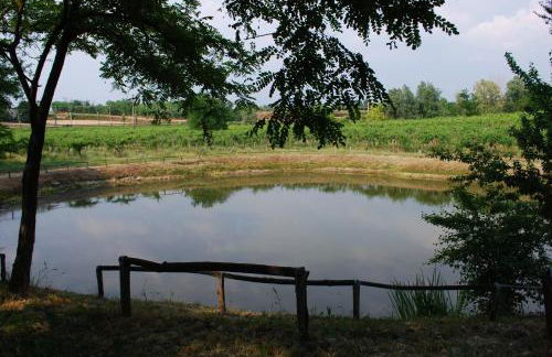 Agriturismo Ca' Vecia - Foto 133