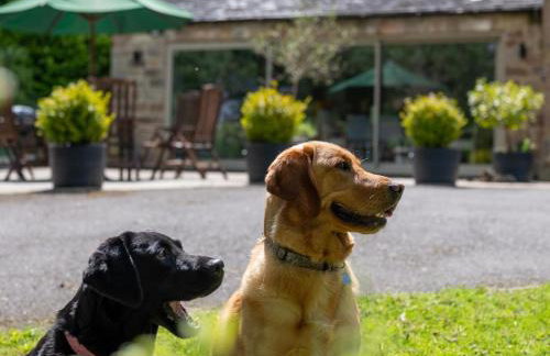 4 Bed in Ashbourne oc-82545 - Foto 32