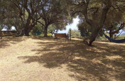 Vistamare - Photo 42