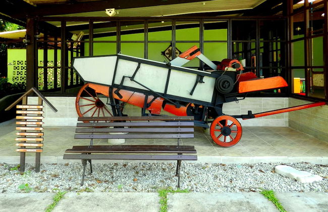 Hotel Bosques do Massaguaçu - Foto 72