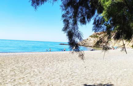 Blue Paradise - Photo 44