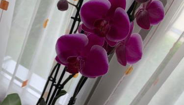 Ferienwohnung am Tivoli - Foto 5