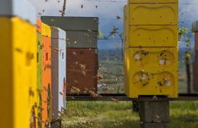 Agriturismo Coi de Pera - Foto 20