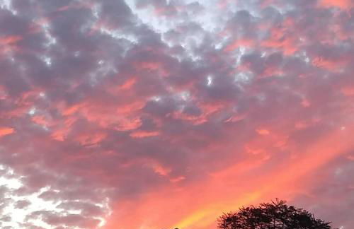 Pousada Chalé na Roça Penedo - Photo 40