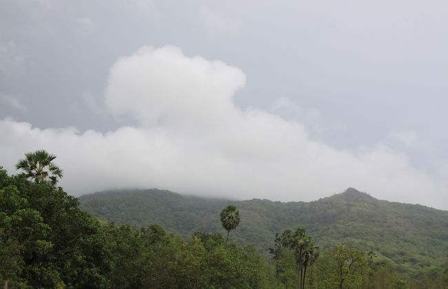 Chene Creek Resort - Foto 19