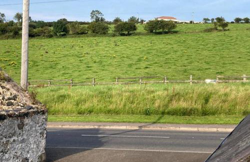 Temple-Effin Self Catering Holiday Cottage - Foto 32