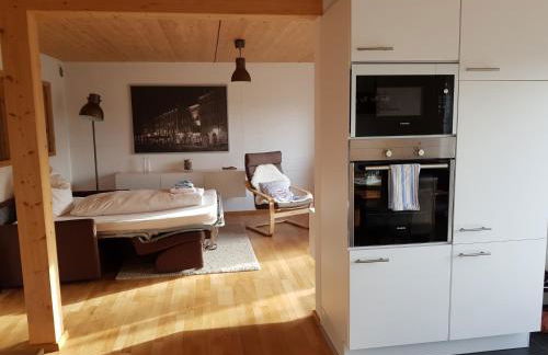 Ferienwohnung TREIBGUT - Foto 1