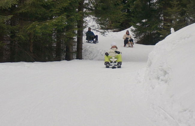 Apartment in the Waxenegg Country House - Photo 10