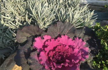 Agriturismo da Mamma - Foto 53