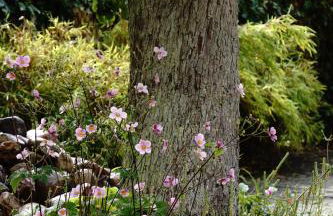 See-h-Stueck - Foto 47