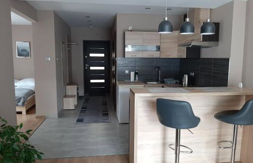 Apartamenty ,,Trzy Sosny'' Rymanów-Zdrój - Foto 23