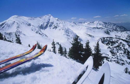 Lady Madonna Citra Flat - Foto 16