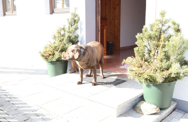 Charming Holiday Home in Huttau With Barbecue - Foto 30